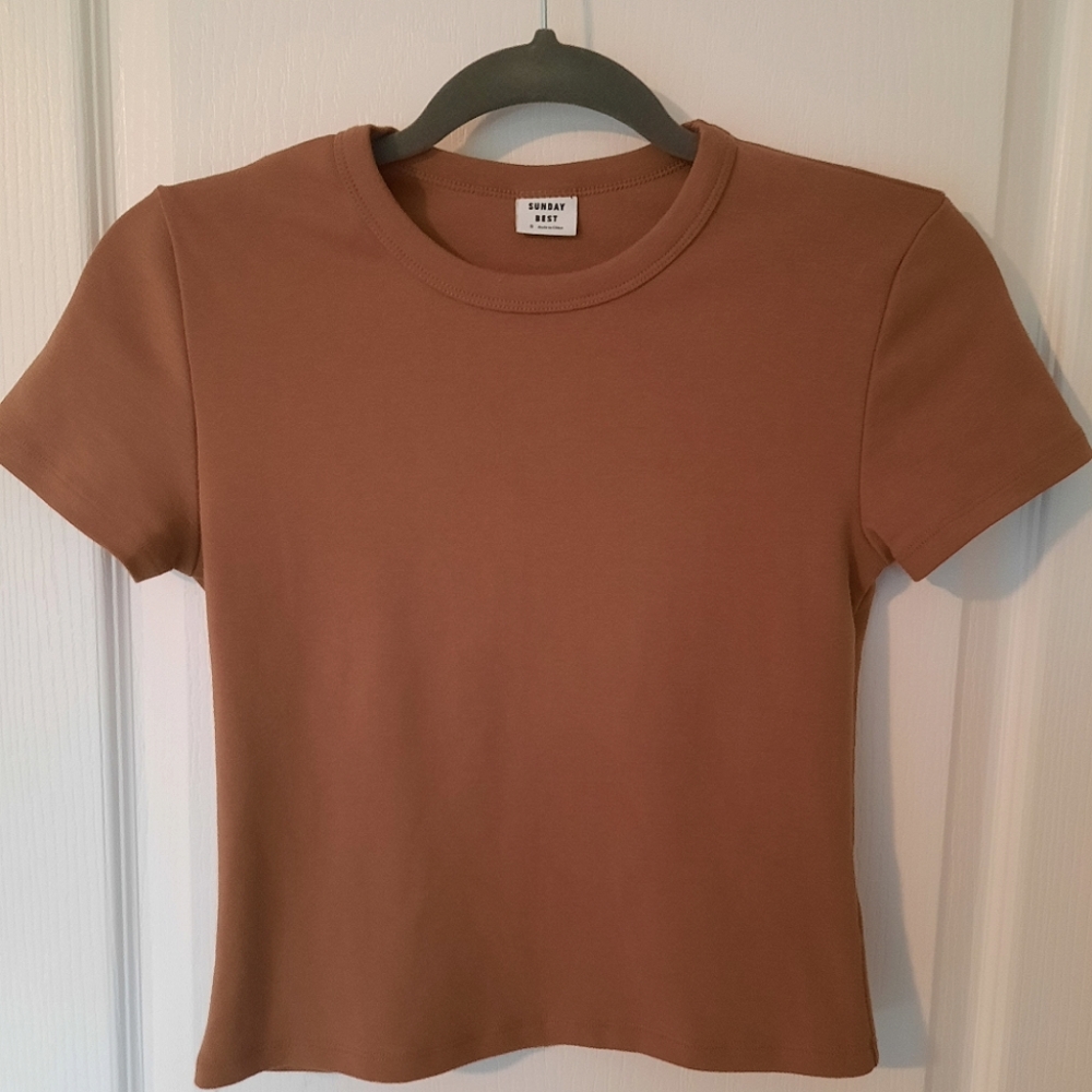 Aritzia Cropped Tee